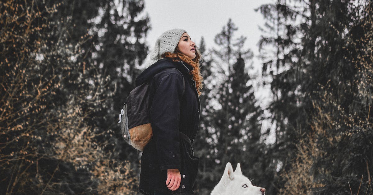 Snowy Trails and Cozy Cabins: Dog-Friendly Winter Adventures in Truckee, California