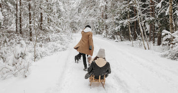 Winter Adventures Along the Truckee River: Dog-Friendly Trails and Cozy Spots for Your Pups