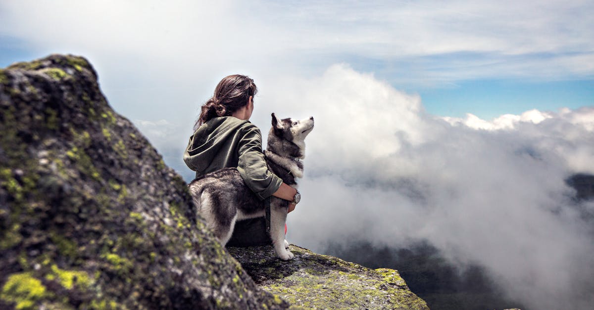 Captivating Sunrises and Scenic Hikes: A Dog-Friendly Guide to Fort Hunter Liggett, CA